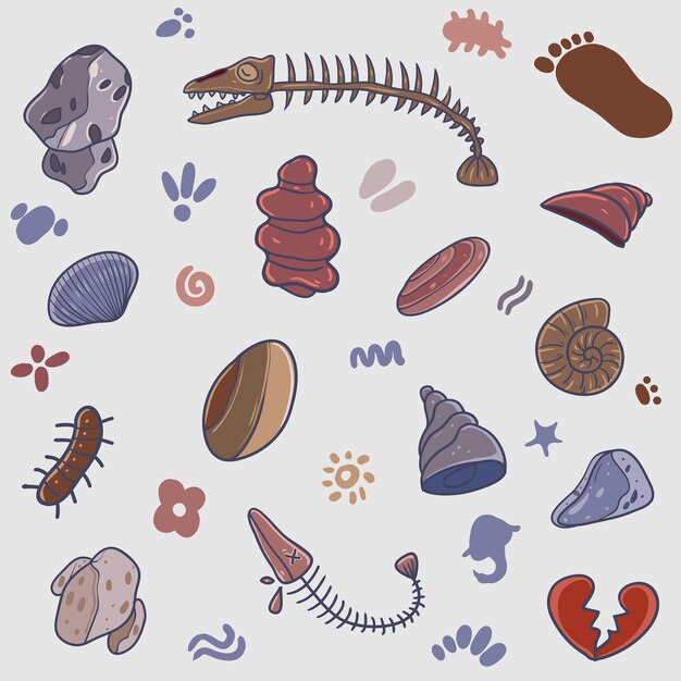 marine fossils