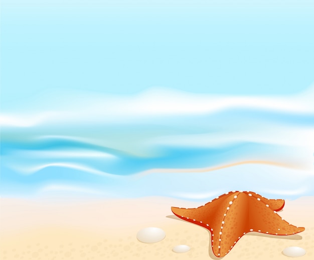 Marine landscape with a sea star, beach, sea and rocks