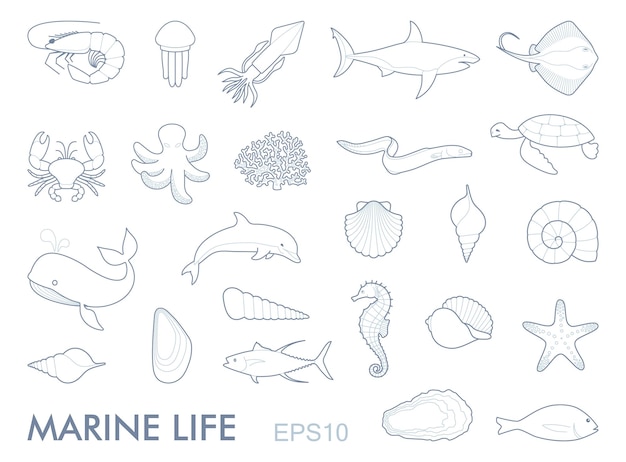 Marine life contour icons