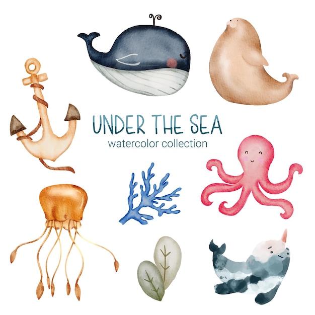 海洋生物かわいい要素海中の動物の生活世界水中の動物の生き物と魚イカクジラセイウチイッカククラゲ藻サンゴアンカーベクトル漫画水彩画のイラスト
