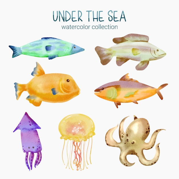 Vector marine life cute element animal life in under sea underwater animal creature and fish