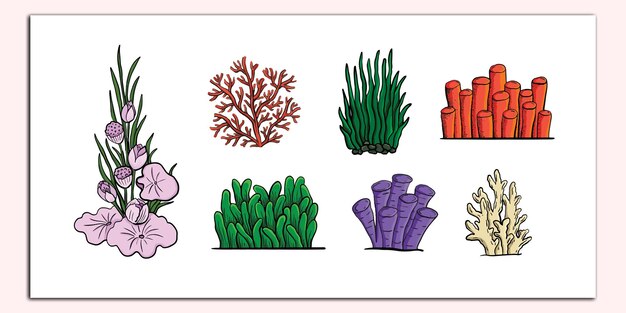 Vector marine life and plants illustration