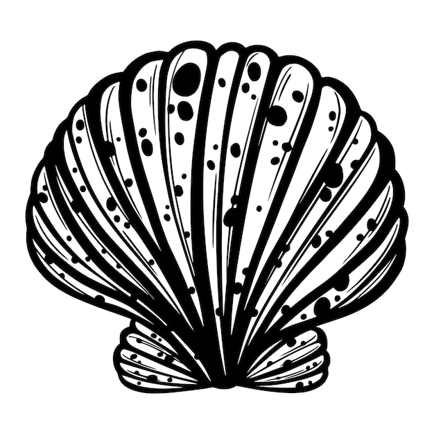 Vector marine seashell or mollusk for design of invitation fabric textile etc