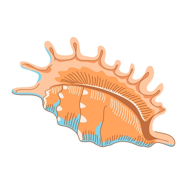 Vector marine underwater twisted seashell on white background