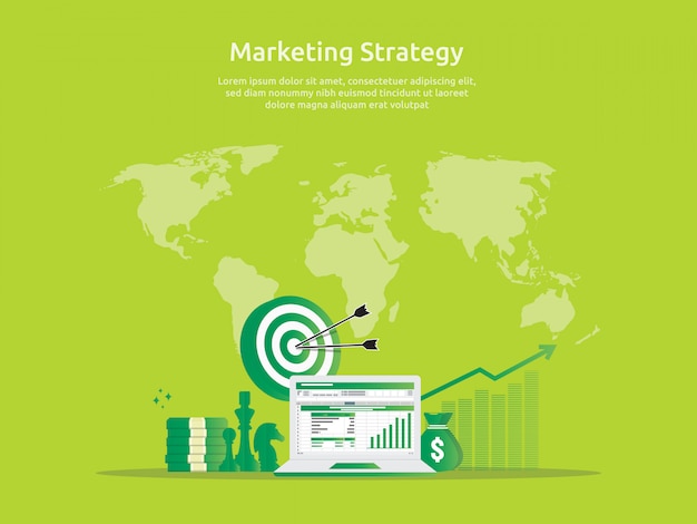 Marketing strategy and business analysis audit with charts