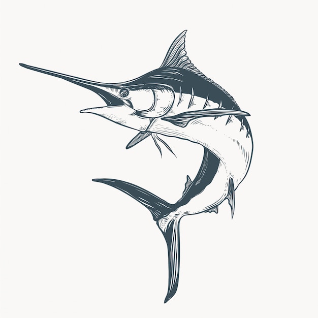 Vector marlin drawing illustration