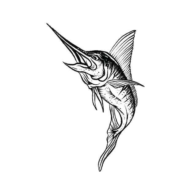 Vector marlin fish vintage hand drawn