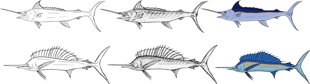 Коллекция эскизов марлина ручной рисунок векторной рыбы морская река или морская рыба