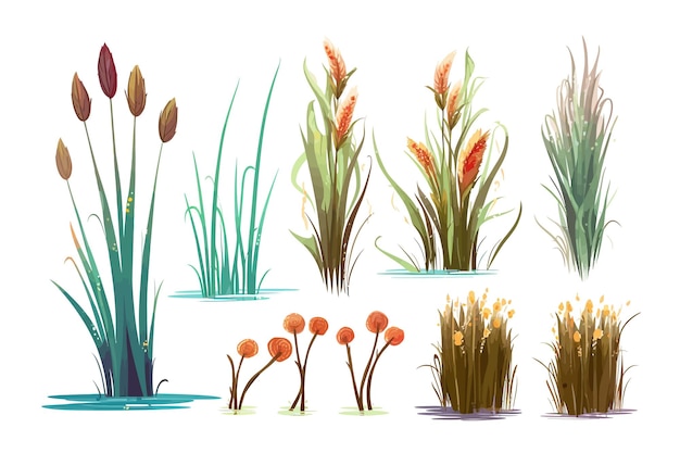 Vector marsh reed grass set of swamp cattails water lily in water vector cartoon flat elements isolated on background