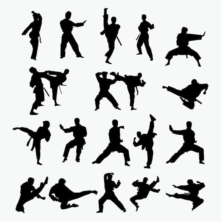 Vector martial art silhouettes