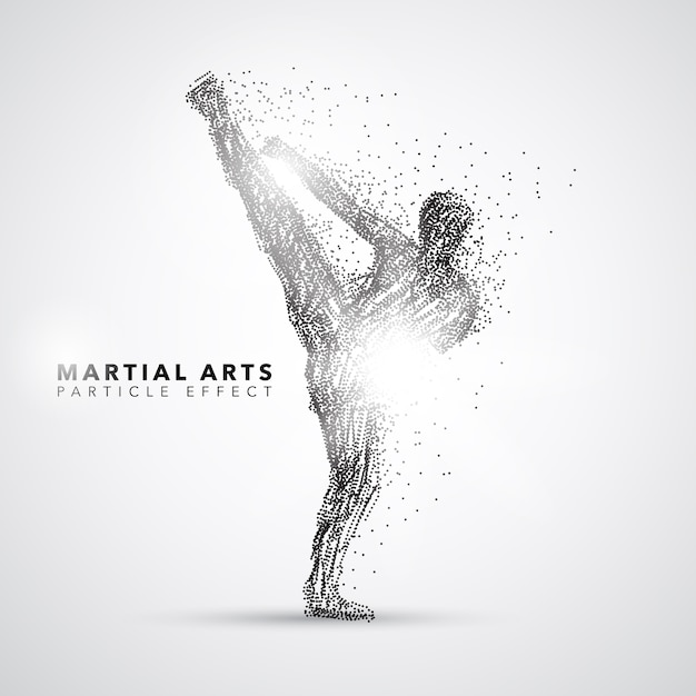 Vector martial arts silhouette