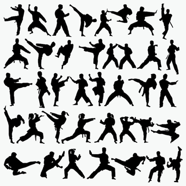 Vector martial arts silhouette