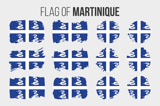 Martinique flag illustration brush stroke and grunge flags of martinique isolated on white