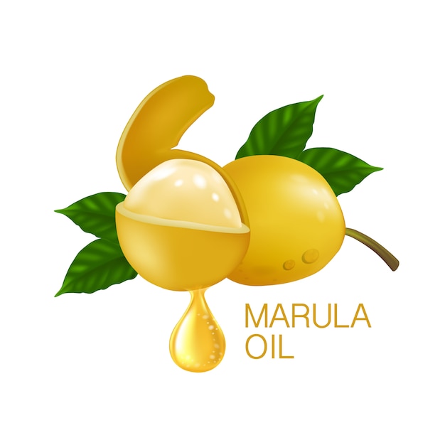 Frutto di marula con foglie isolate