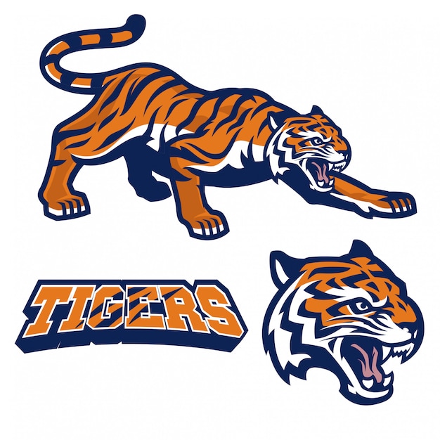 Vector mascot tiger crouching in sport logo style