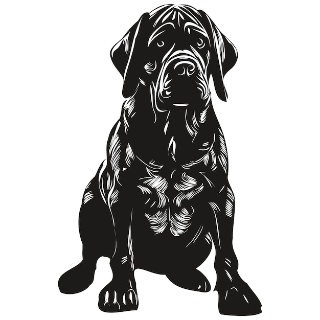 Vector mastiff hond hand getrokken lijn kunst vector tekening zwart-wit logo huisdieren illustratie