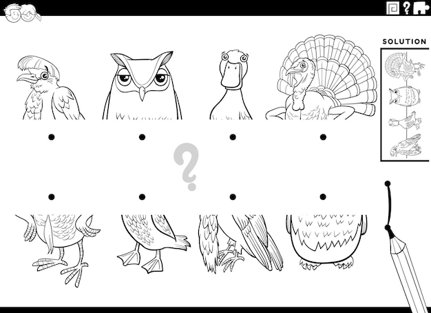 Vector match halves of cartoon birds game coloring page