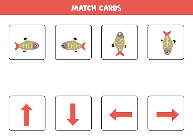 Match pictures with arrows of orientation. cartoon x ray fish. left or right, up or down.