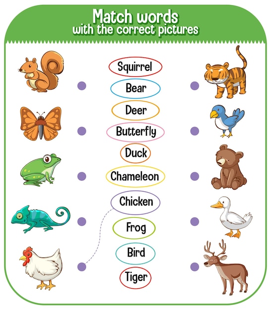 Match words with the correct pictures game for kids