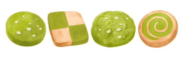 Vector matcha cookies watercolor hand painted elements set