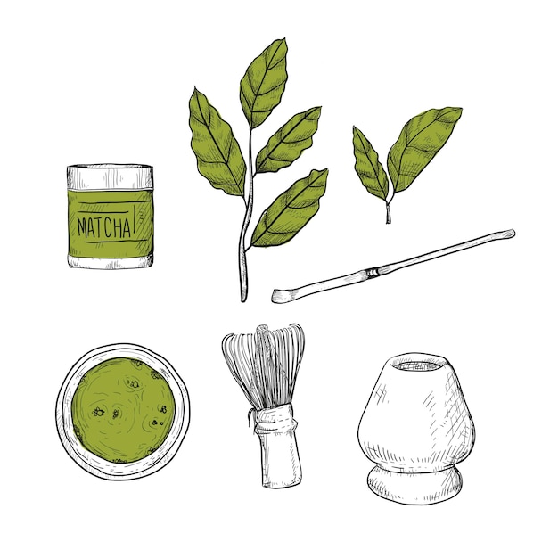 Vector matcha hand drawn set