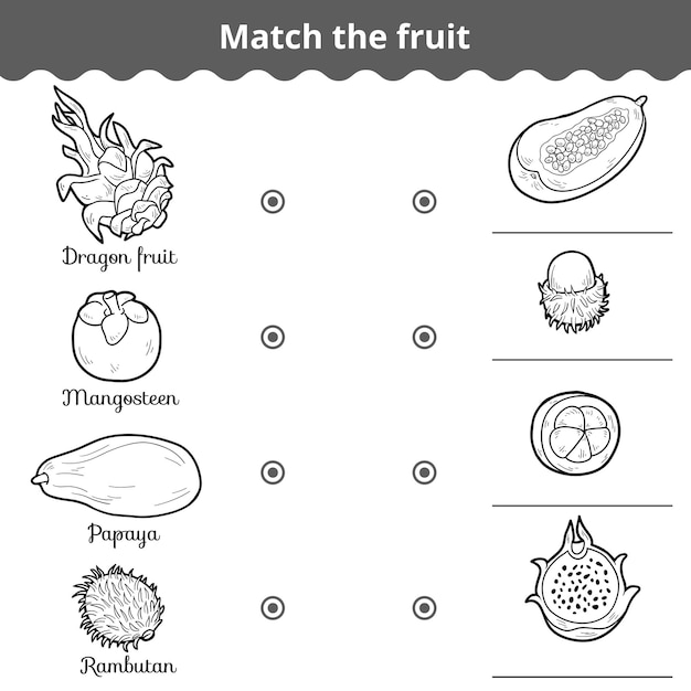 Vector matching educational game for children match the fruits and write the name black and white worksheet