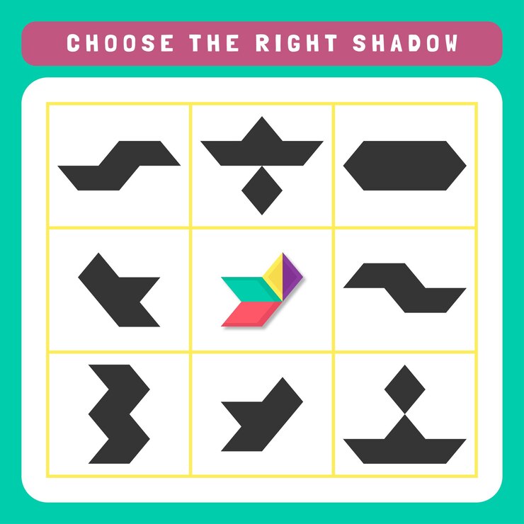 Vector matching shadow worksheet
