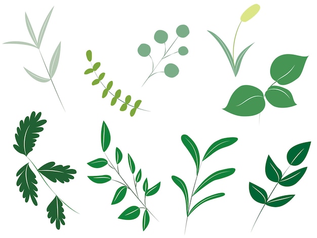 Materiaal groen bladframe