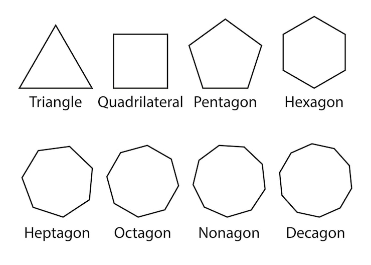 Vector mathematical shapes types of polygon vector illustration white background