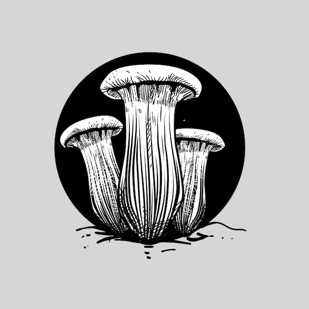 Illustrazione del fungo matsutake