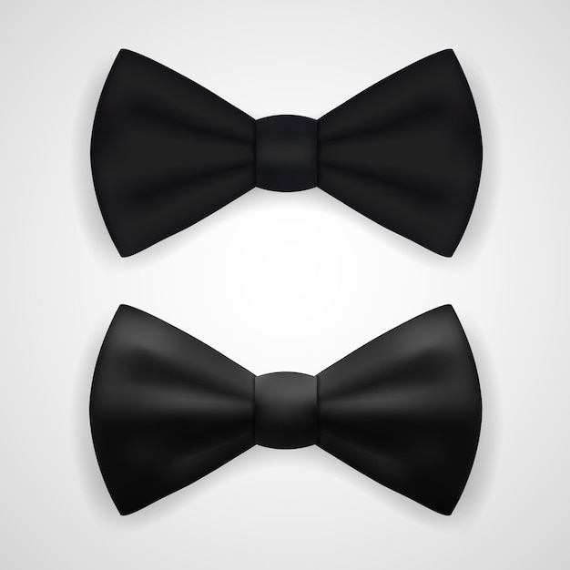 Matte And Glossy Black Bow Tie