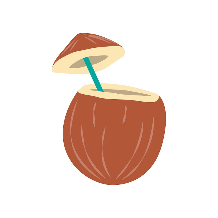 Vector mature coconut palm tree tropical fruit icon