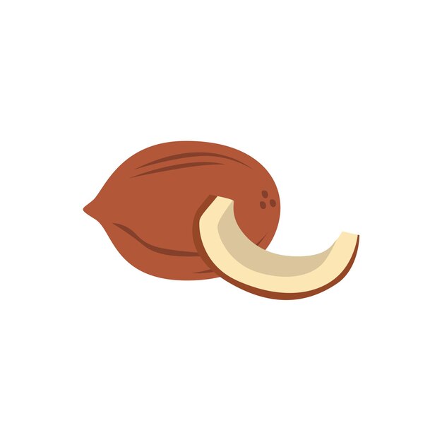 Mature Coconut Palm Tree Tropical Fruit Icon