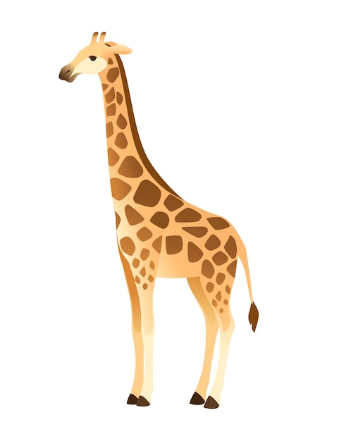 Vector mature giraffe african animal with long neck cartoon animal design flat vector illustration isolated on white background