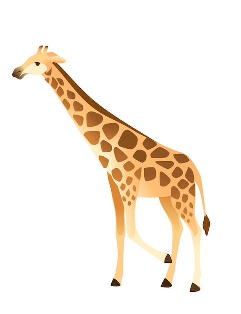 Animale africano della giraffa matura con l'illustrazione piana di vettore del disegno animale del fumetto del collo lungo isolata su fondo bianco