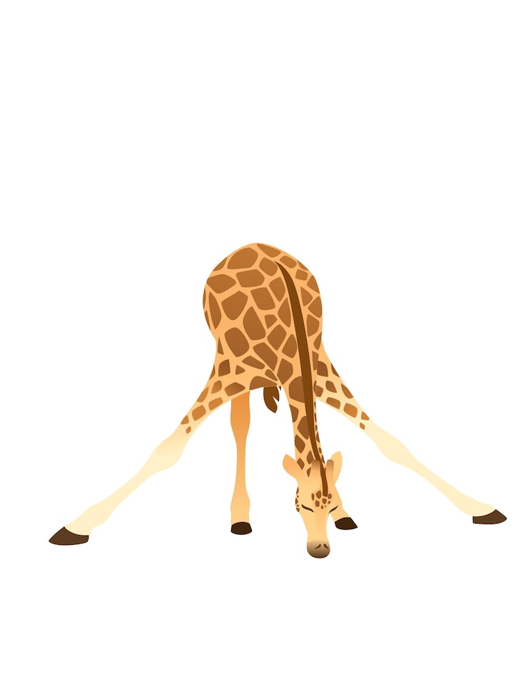 Vector 긴 목 만화 동물 디자인 평면 벡터 일러스트 레이 션 흰색 배경에 고립 된 성숙한 기린 아프리카 동물