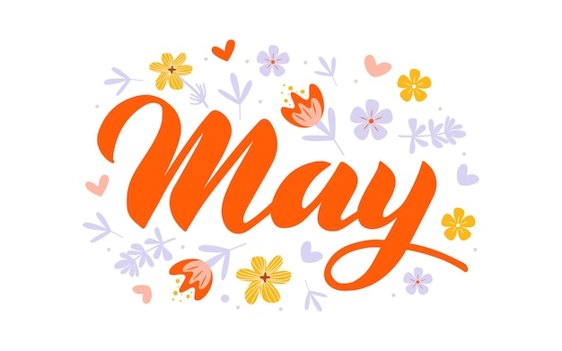 Вектор Май нарисованное от руки название месяца написанный от руки месяц май для ежемесячного логотипа календаря