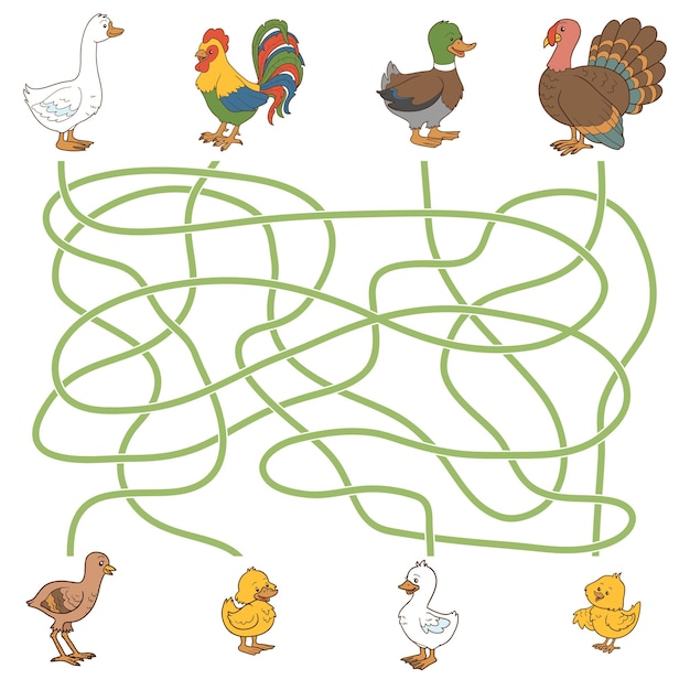 Vector maze game for children help the young find their parents farm birds duck goose turkey chicken