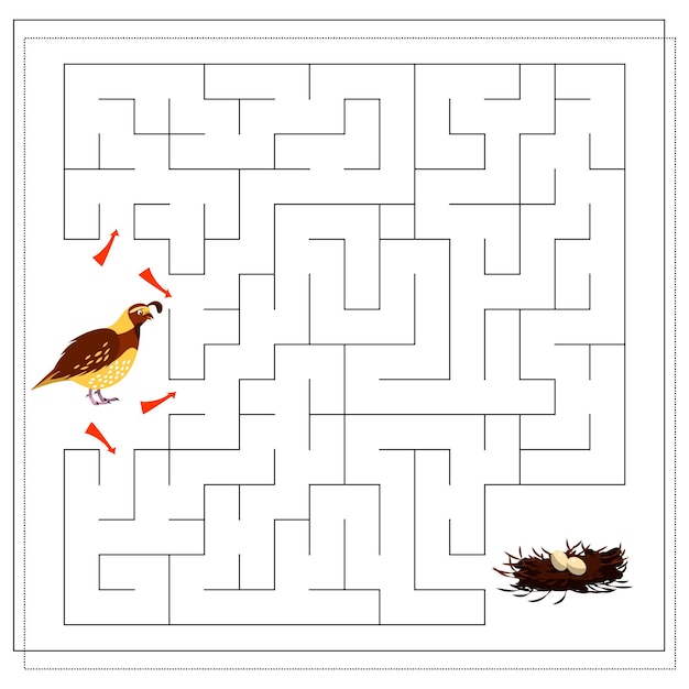 A maze game for kids guide the bird through the maze to the nest with eggs Quail Vector