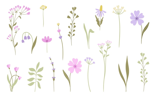 Vector meadow bloesem bloemen set warme kleuren met de hand getekende geïsoleerde elementen