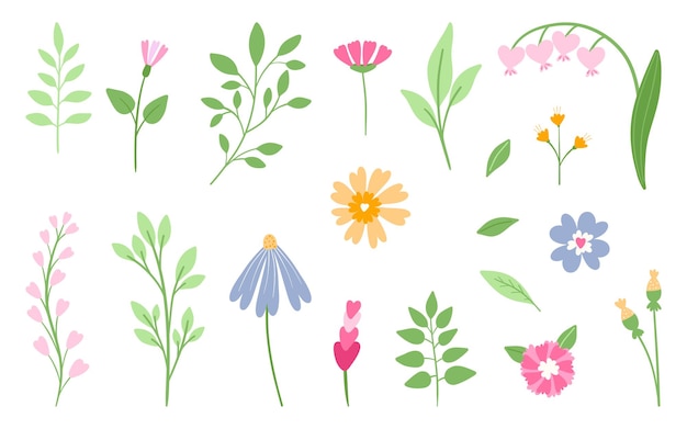 Meadow blossom flower set Heartwarming colors Hand drawn isolated flat elements