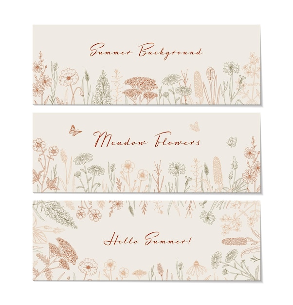 Meadow flowers background Hand drawn field wildflowers border