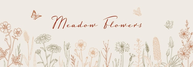 Meadow flowers background Hand drawn field wildflowers border