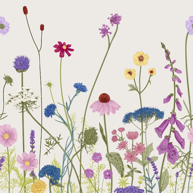 Vector meadow flowers border