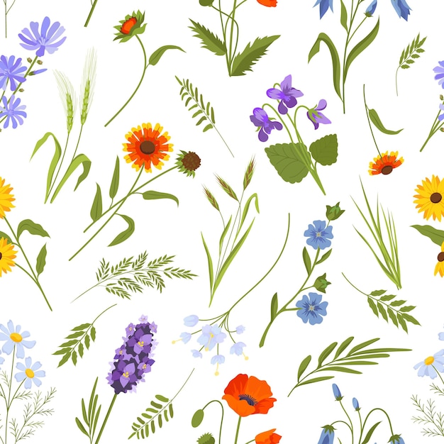 Meadow spring wild flowers and herbs seamless pattern. Vintage floral ornament with daisy, poppy and leaves. Cottagecore boho vector print