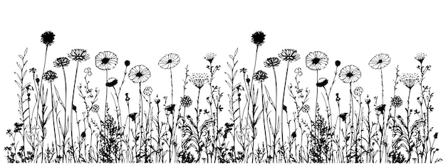Meadow wildflowers border hand drawn sketch in doodle style illustration