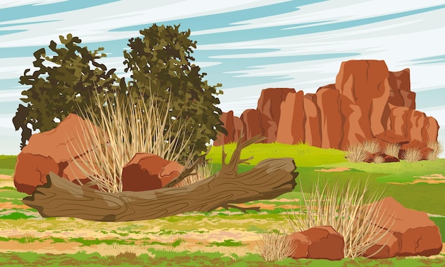 Meadow with fallen tree and stones. Red rocks in Australia. Valley in front of the mountains