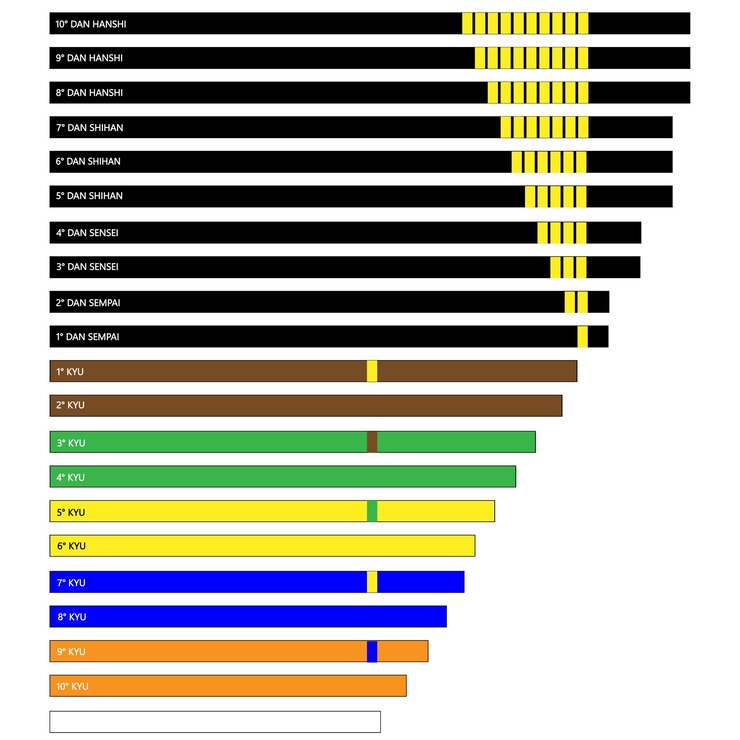 Vector meanings of belts in kyokushinkai karate karate belt hierarchy karate belt assignment levels
