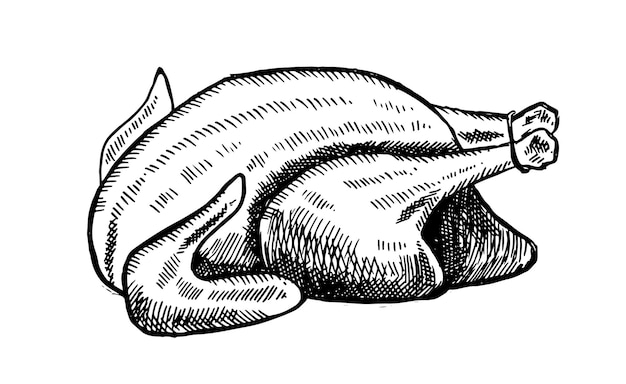 Мясо курицы рисованной иллюстрации на белом фоне