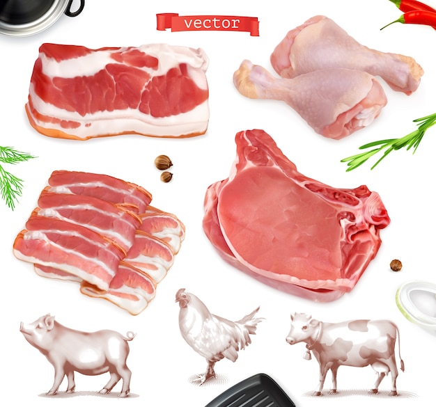 Cibo a base di carne. manzo, maiale, set di illustrazione di cosce di pollo